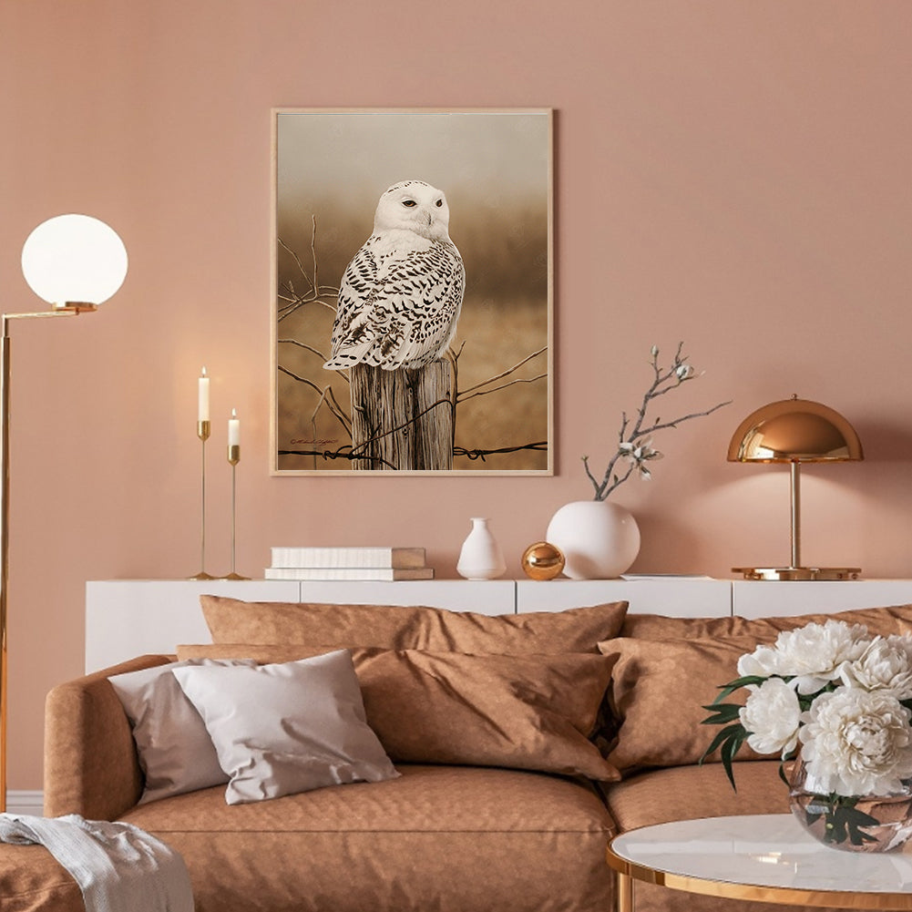 Owl - Full Round Drill Diamond Painting 30*40CM