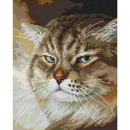 Angry Cat - 14CT Stamped Cross Stitch 25*30CM (Joy Sunday)
