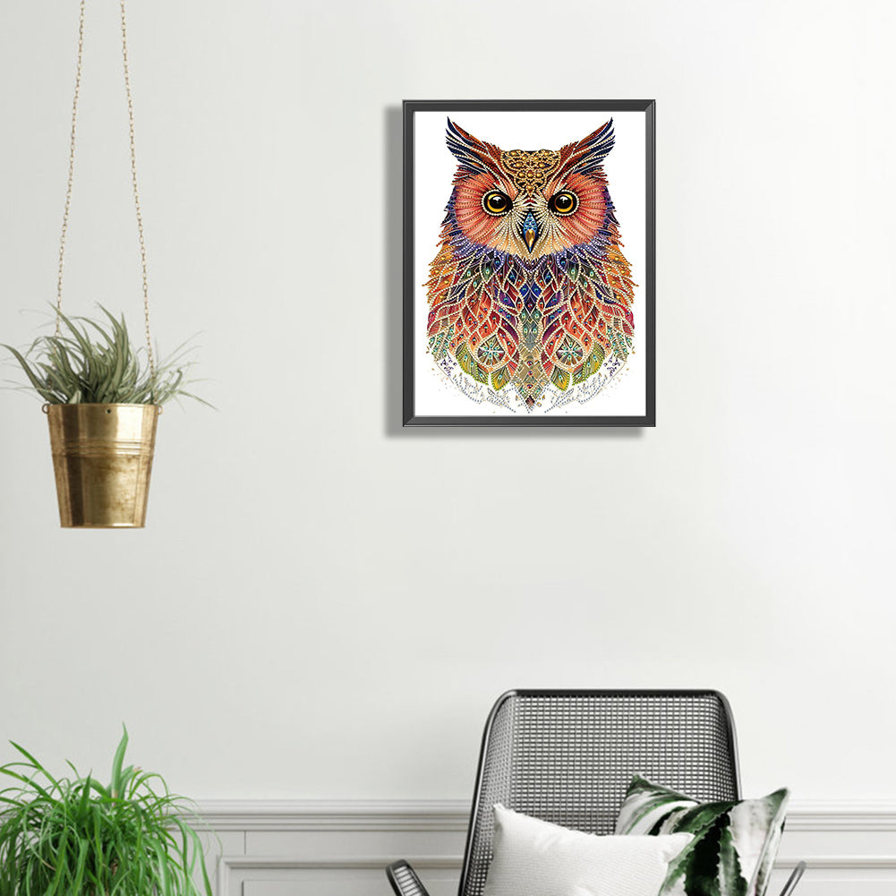 Ethnic Style Owl - Special Shaped Drill Diamond Painting 30*40CM