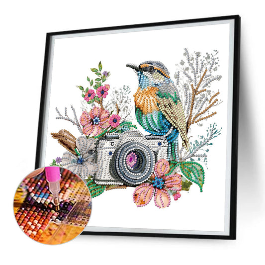 Camera - Special Shaped Drill Diamond Painting 30*30CM