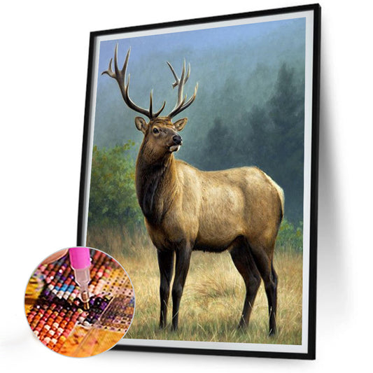 Elk - Full Round Drill Diamond Painting 30*40CM