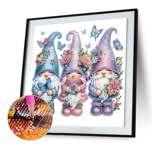 Garden Gnome - Special Shaped Drill Diamond Painting 30*30CM