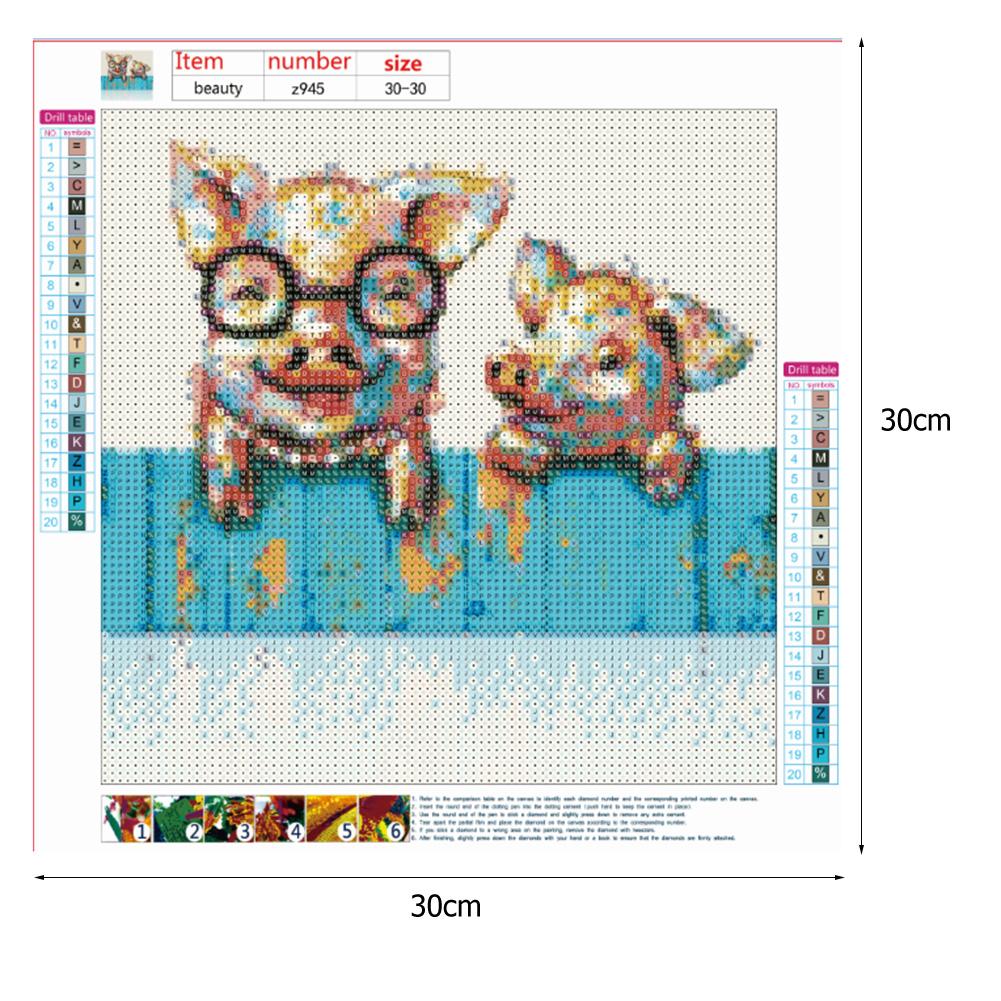 Pig - Full Round Drill Diamond Painting 30*30CM