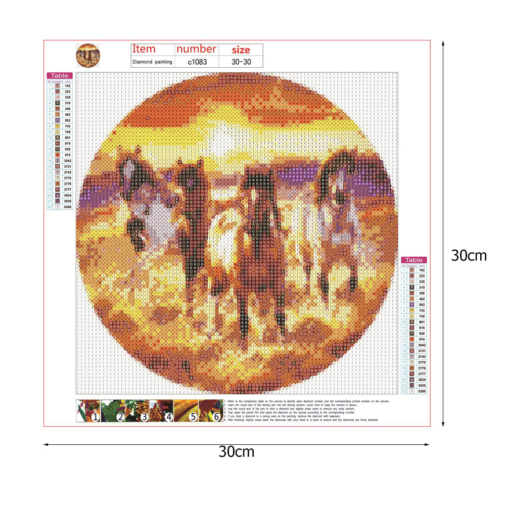 Horse - Full Round Drill Diamond Painting 30*30CM