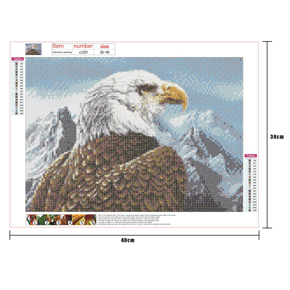 Eagle - Full Round Drill Diamond Painting 30*40CM