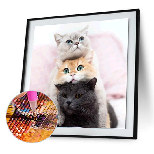 Lovely Cat - Full Round Drill Diamond Painting 30*30CM