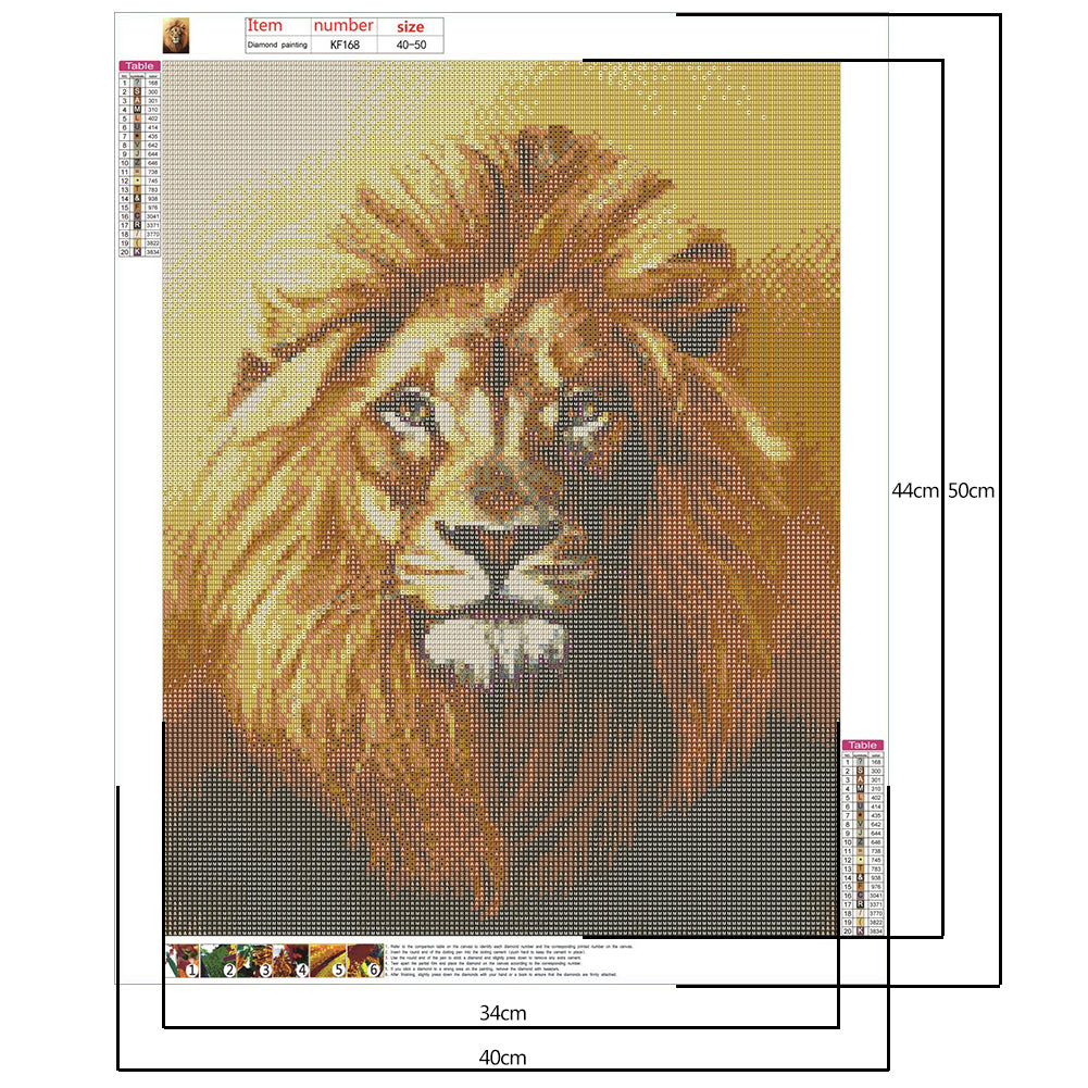 Lion - Full Square Drill Diamond Painting 40*50CM