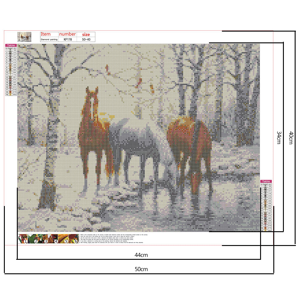Animal - Full Square Drill Diamond Painting 50*40CM