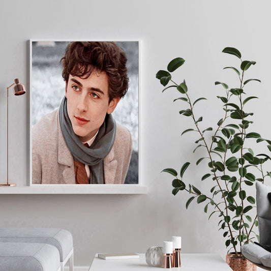 Timothe - Full Round Drill Diamond Painting 40*50CM