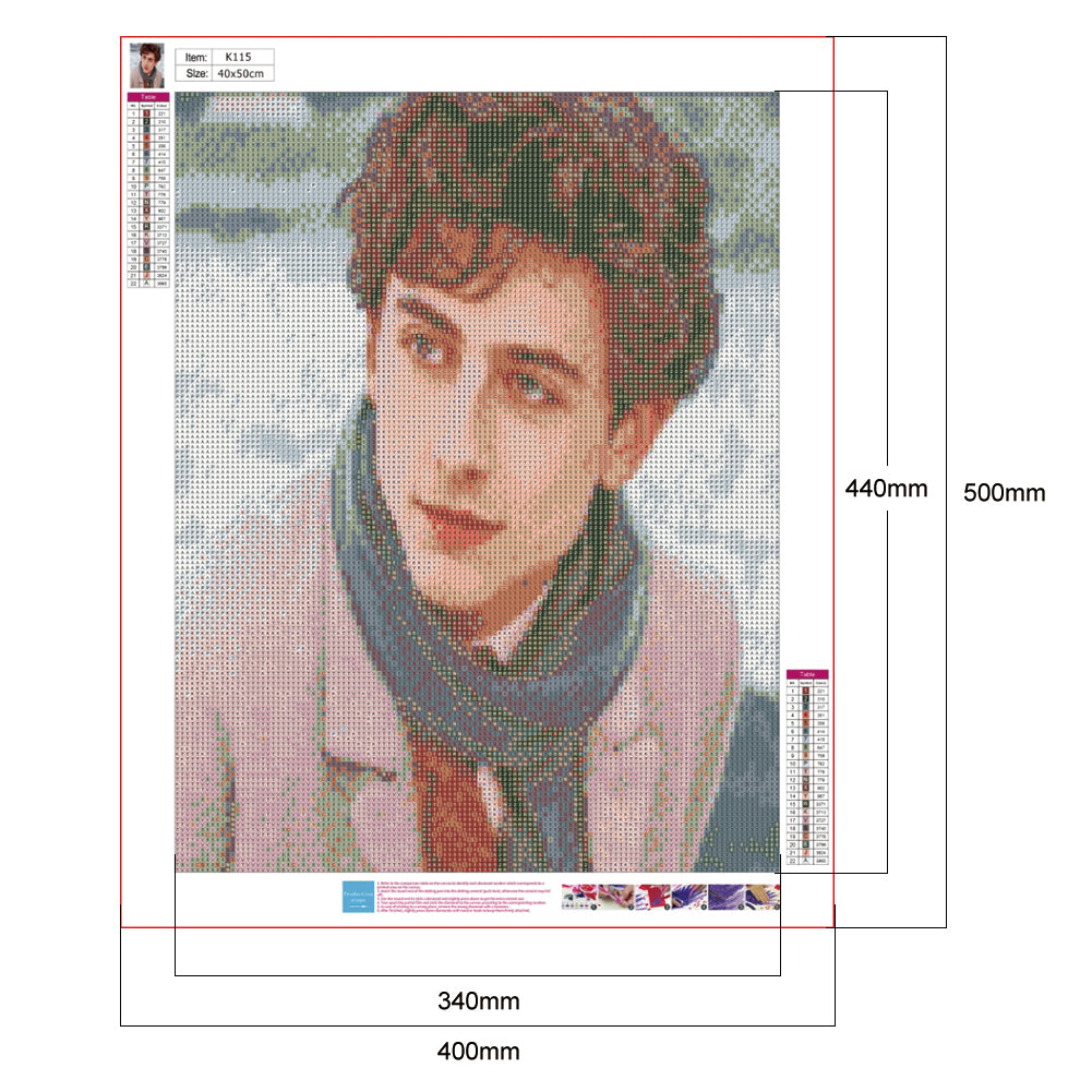 Timothe - Full Round Drill Diamond Painting 40*50CM