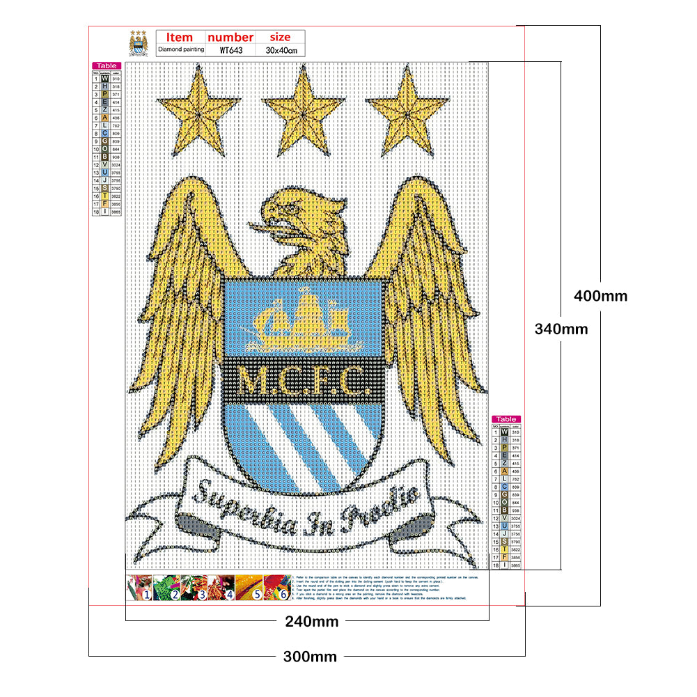 Manchester City - Full Round Drill Diamond Painting 30*40CM
