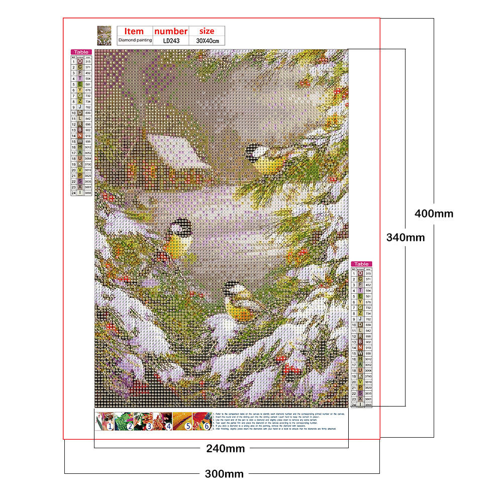 Christmas Bird - Full Round Drill Diamond Painting 30*40CM