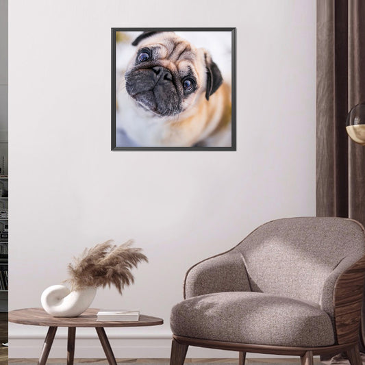 Pug Dog - Full Round Drill Diamond Painting 40*40CM