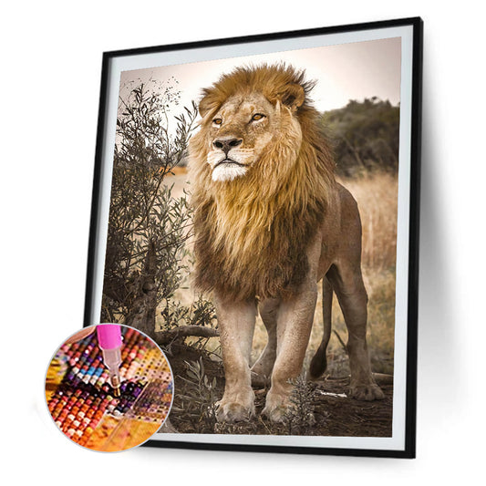 Lion - Full Square Drill Diamond Painting 30*40CM