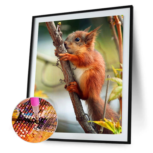 Squirrel - Full Round Drill Diamond Painting 30*40CM
