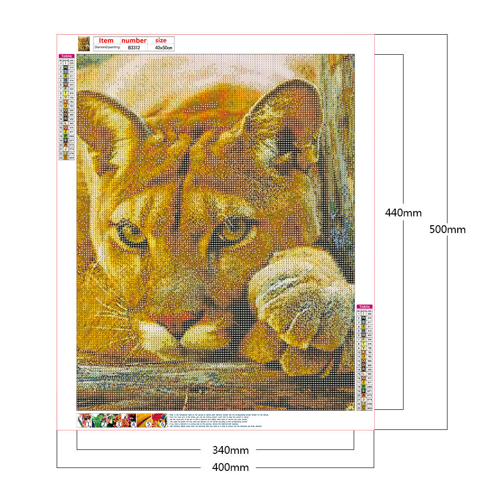 Lion - Full Round Drill Diamond Painting 40*50CM