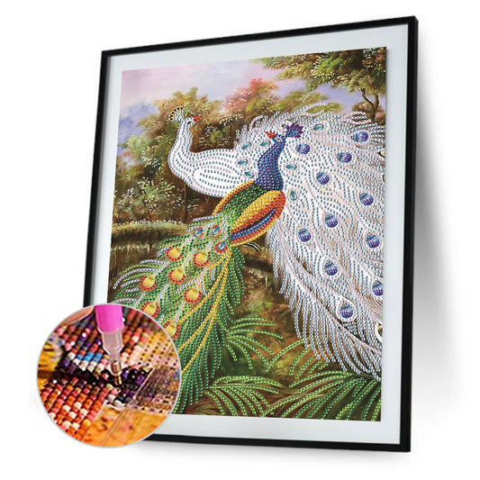 Peacock - Special Shaped Drill Diamond Paiting 30*40CM