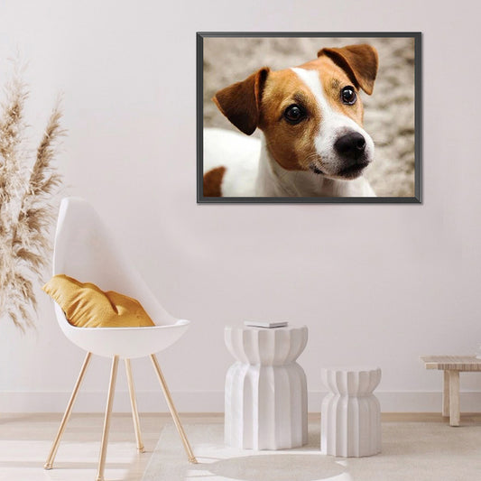 Dog - Full Round Drill Diamond Painting 40*30CM