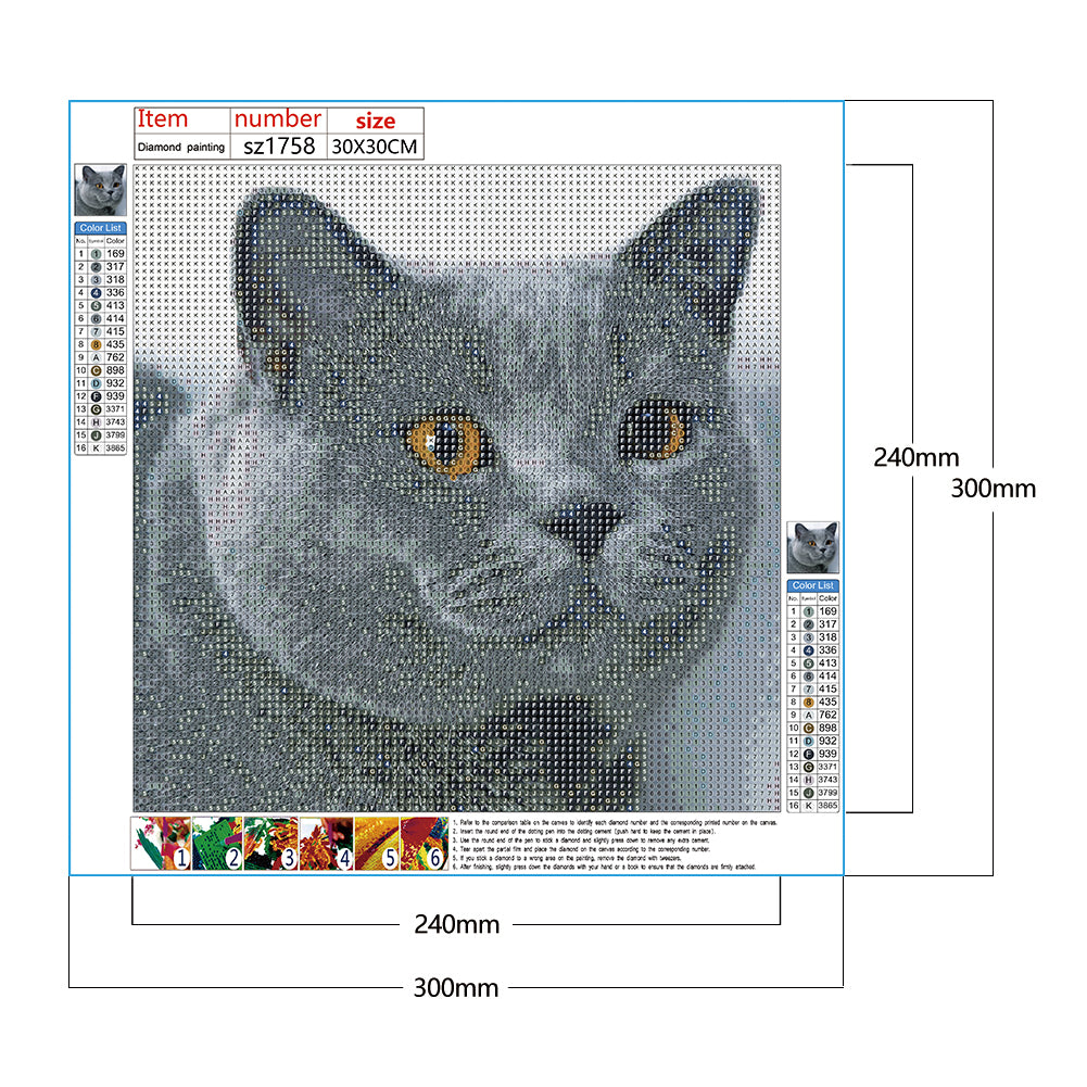 Cat - Full Round Drill Diamond Painting 30*30CM