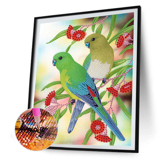 Birds - Special Shaped Drill Diamond Paiting 30*40CM