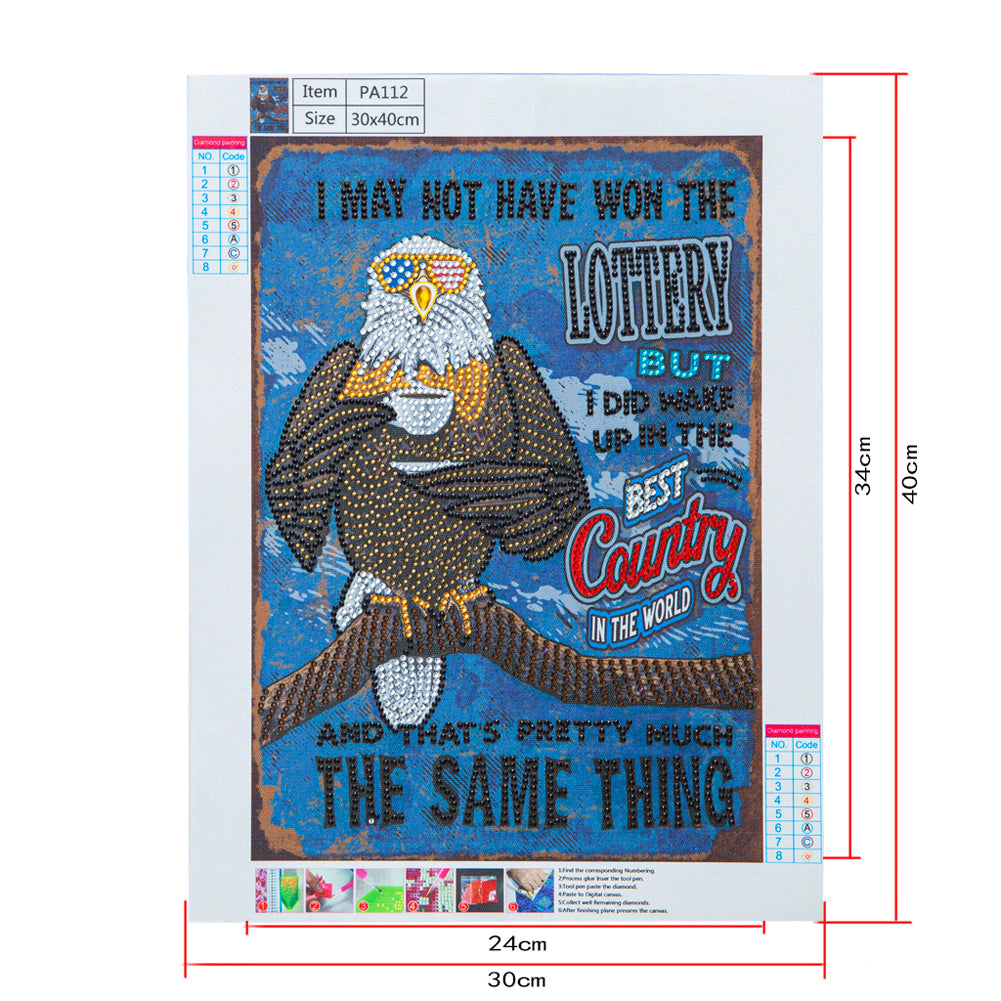 Eagle Calligraphy And Painting - Special Shaped Drill Diamond Paiting 30*40CM