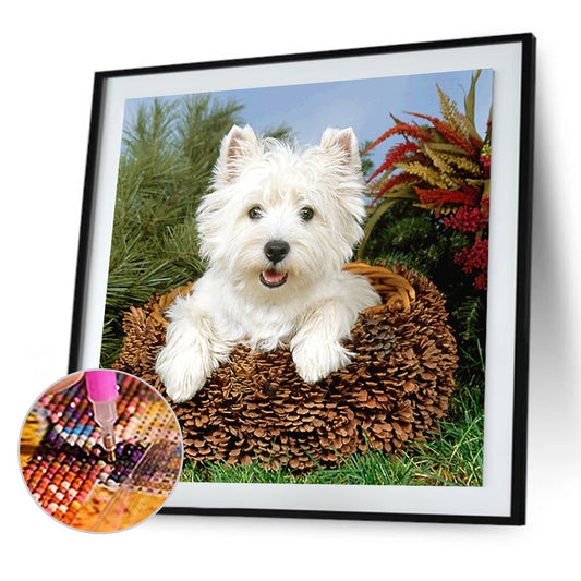 Dog - Full Round Drill Diamond Painting 40*40CM