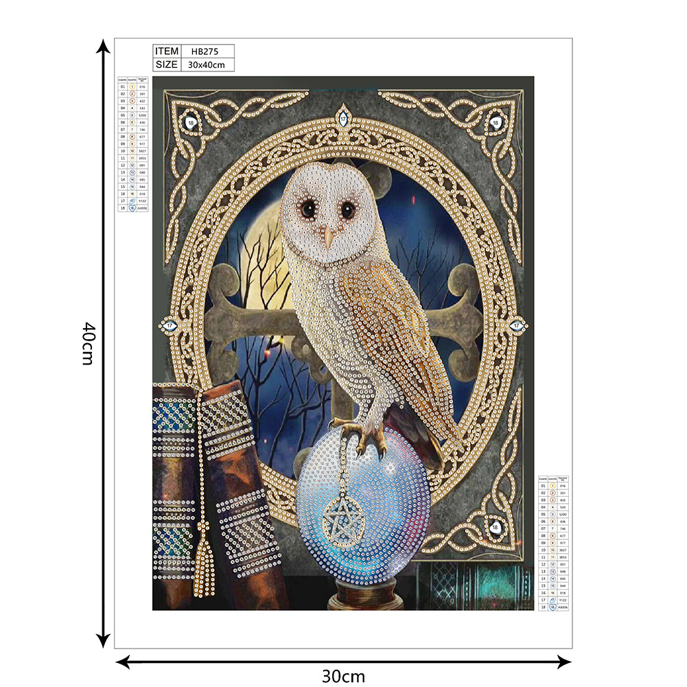Owl - Special Shaped Drill Diamond Paiting 30*40CM