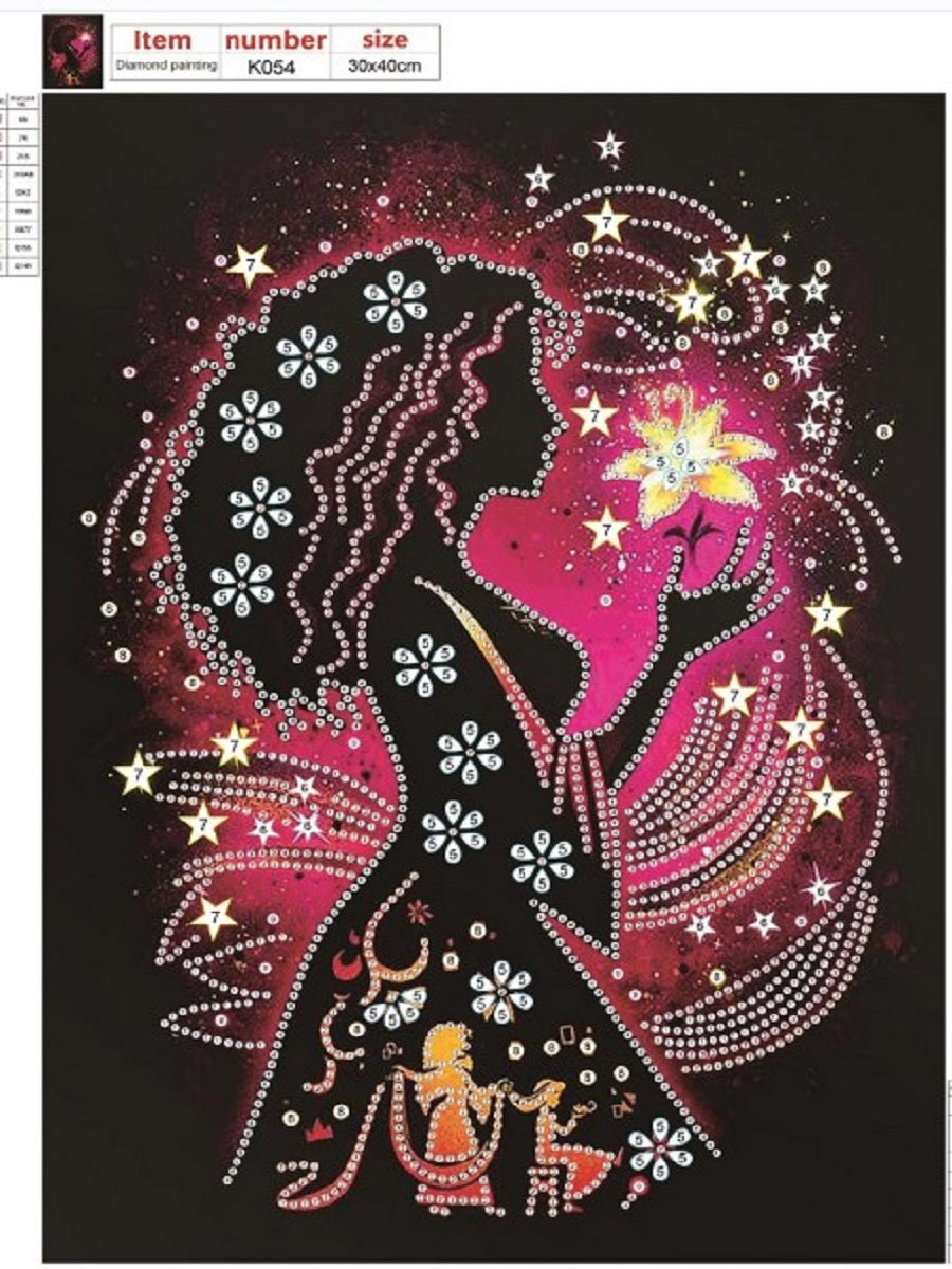 Silhouette Princess - Special Shaped Drill Diamond Paiting 30*40CM