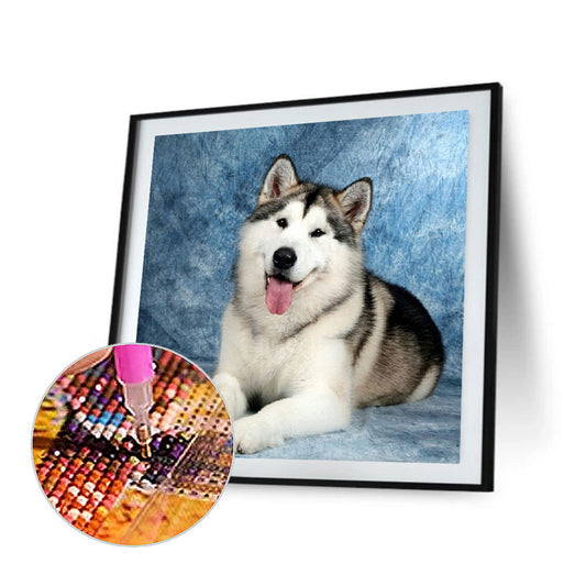 Husky - Full Round Drill Diamond Painting 40*40CM