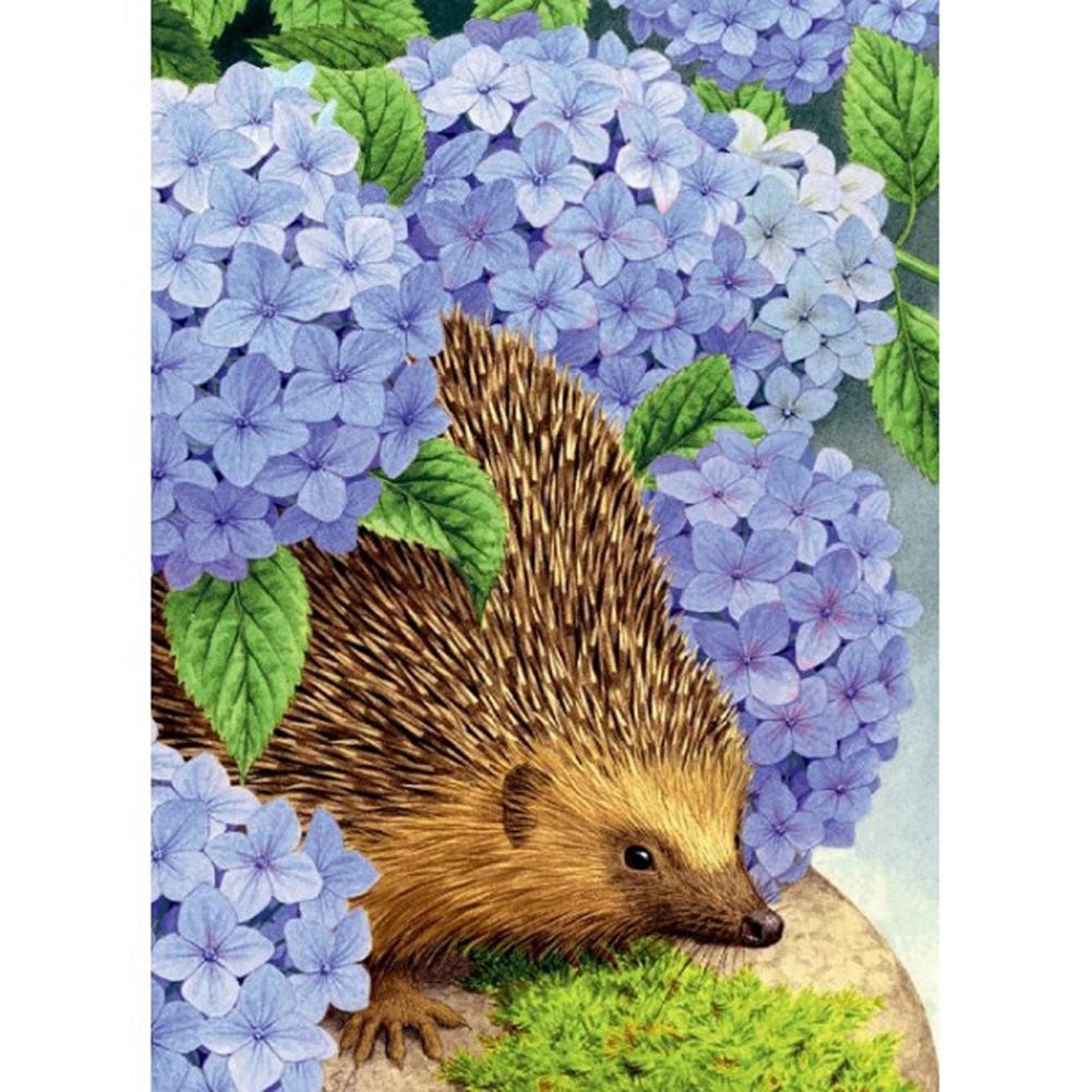 Hedgehog - Full Square Drill Diamond Painting 50*60CM