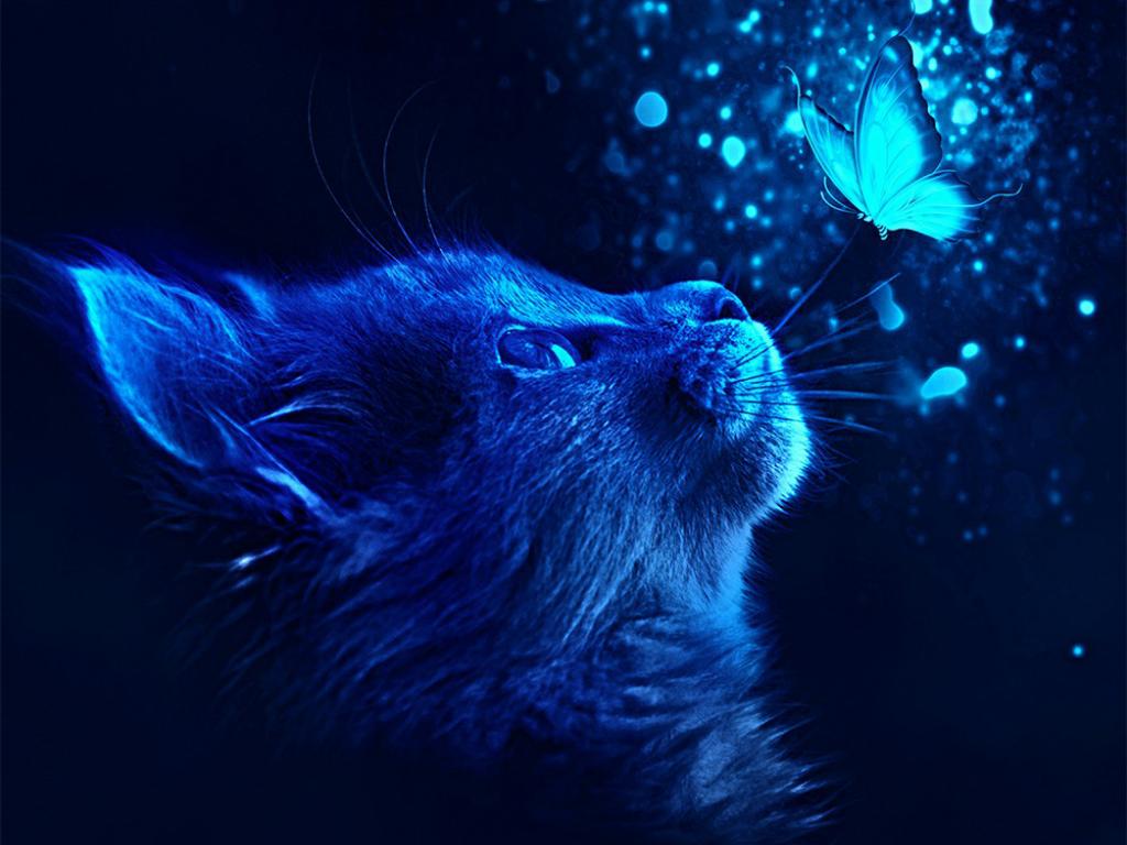 Blue Cat Butterfly - Full Round Drill Diamond Painting 50*40CM