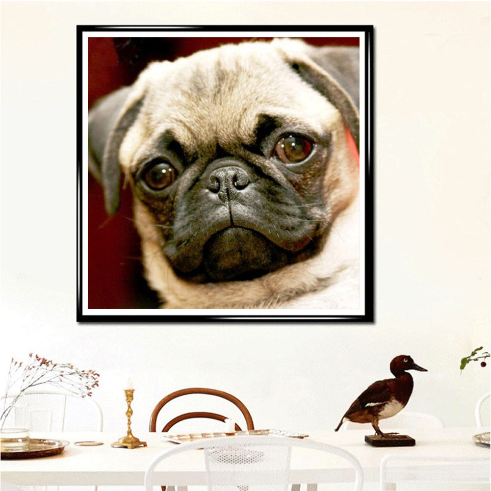 Melancholic Pug Dog - Full Round Drill Diamond Painting 50*50CM