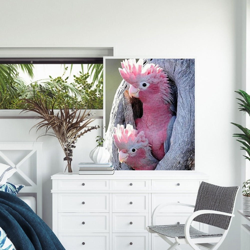 Pink Cockatoo - Full Square Drill Diamond Painting 40*50CM