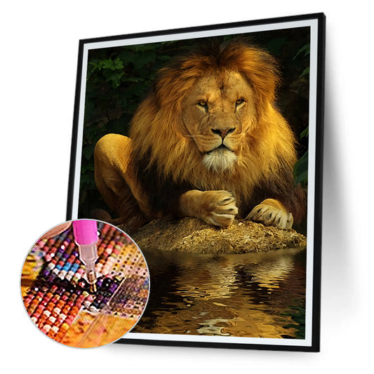 North African Lion - Full Round Drill Diamond Painting 40*50CM