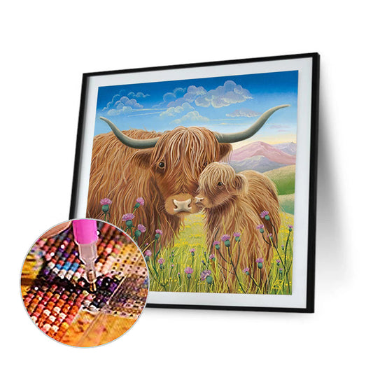 Highland Cow Cow - Full Square Drill Diamond Painting 30*30CM