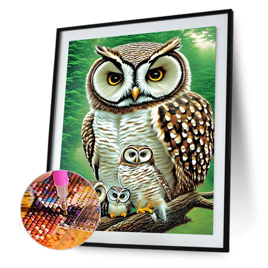Owl - Full Round Drill Diamond Painting 30*40CM