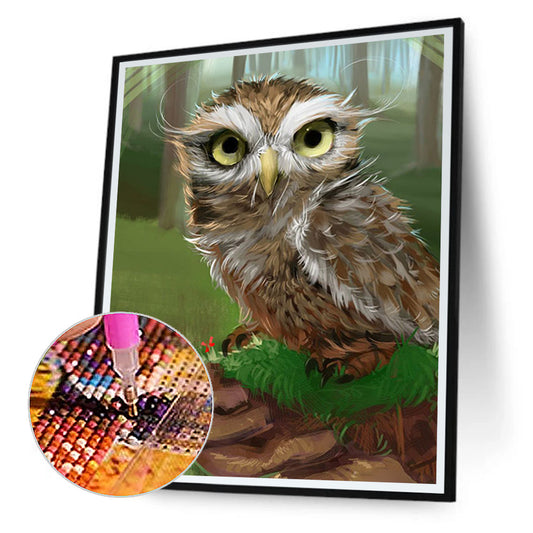 Owl - Full Round Drill Diamond Painting 30*40CM