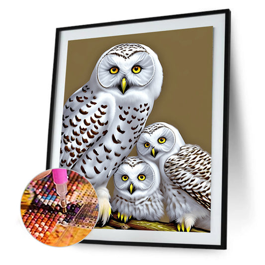 White Owl - Full Round Drill Diamond Painting 30*40CM