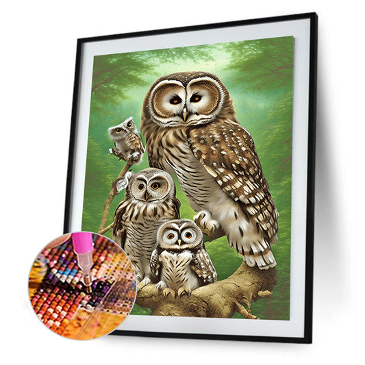 Brown Owl - Full Round Drill Diamond Painting 30*40CM