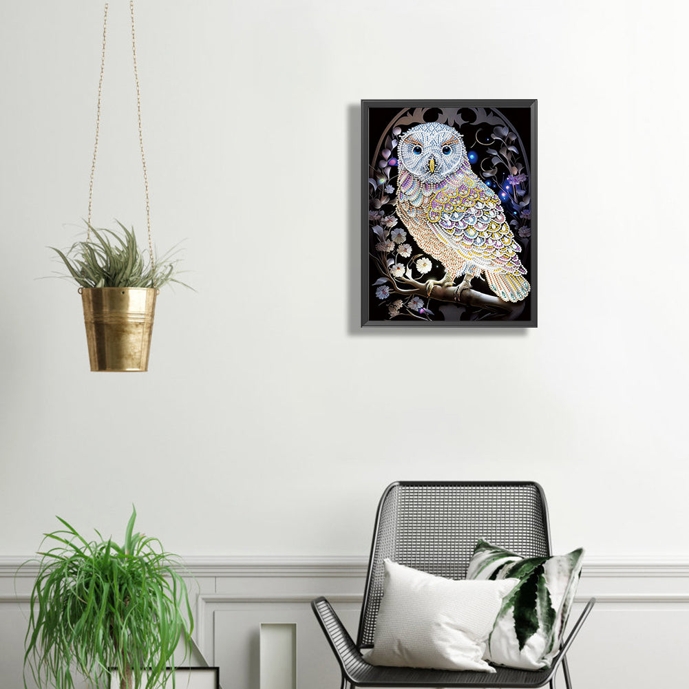 Owl - Special Shaped Drill Diamond Painting 30*40CM