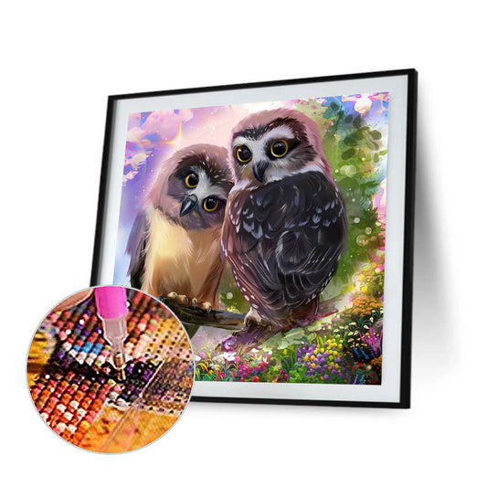Two Owls 30*30Ccm(canvas) full round drill diamond painting