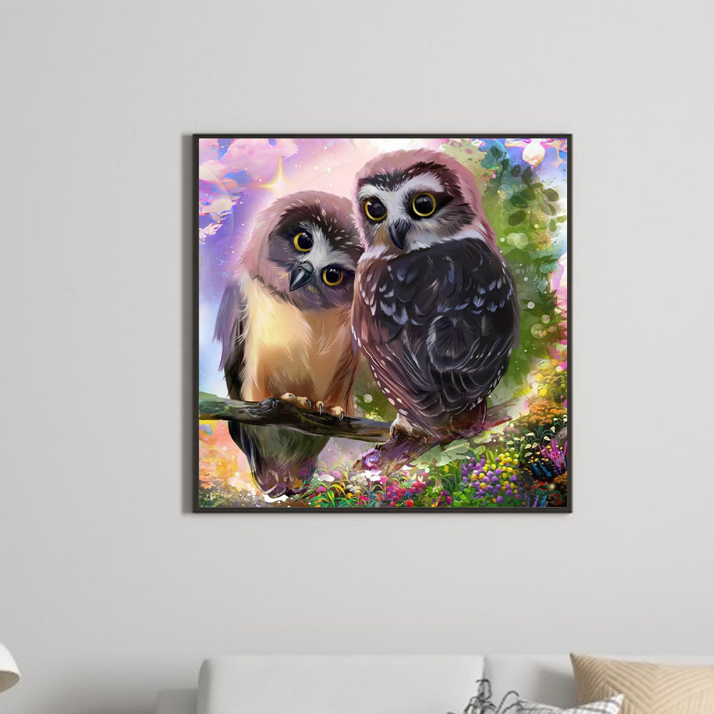 Two Owls 30*30Ccm(canvas) full round drill diamond painting