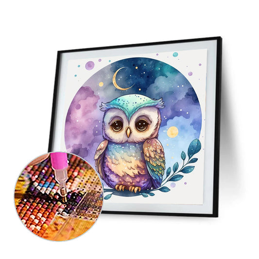 Owl 30*30Ccm(canvas) full round drill diamond painting