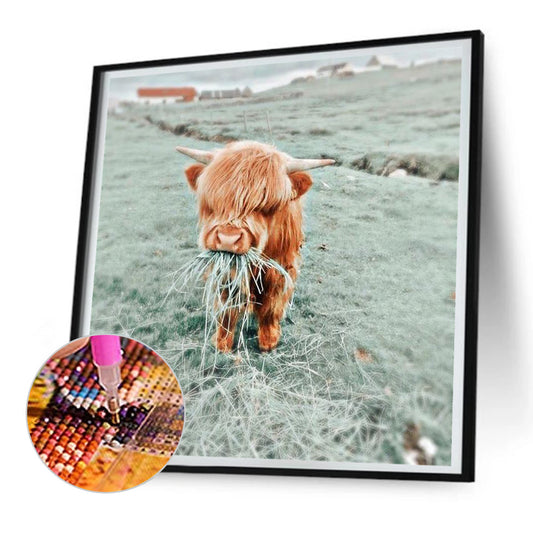 Calf - Full Round Drill Diamond Painting 30*30CM
