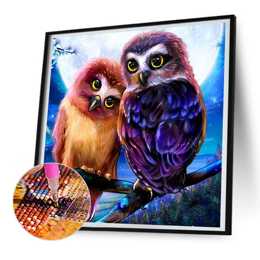 Owl - Full Round Drill Diamond Painting 30*30CM