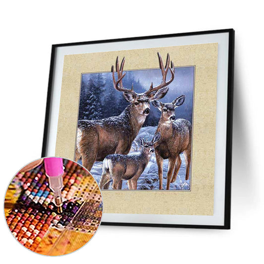 Elk In Frame - Full Square Drill Diamond Painting 40*40CM