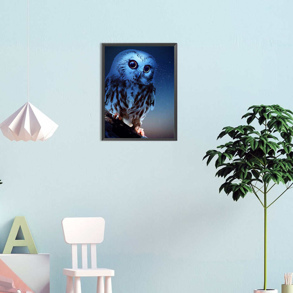 Night Owl - Full Round Drill Diamond Painting 30*40CM