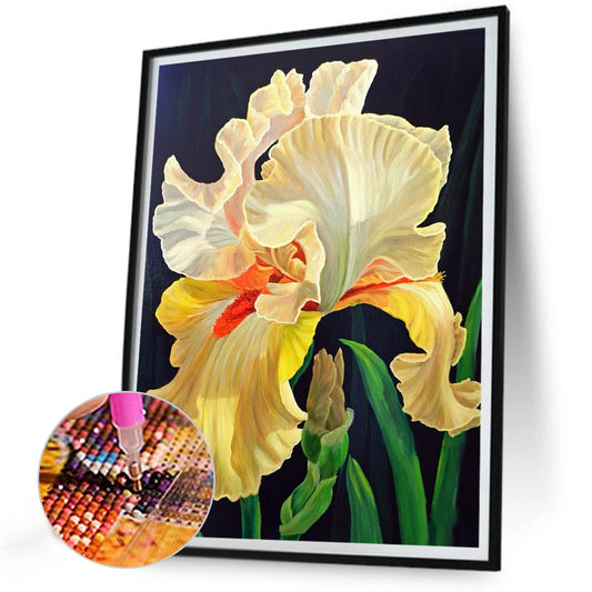 Iris - Full Round Drill Diamond Painting 30*40CM