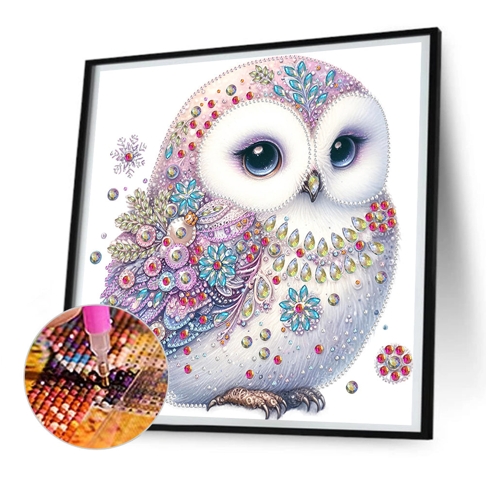 Bald Owl - Special Shaped Drill Diamond Painting 30*30CM