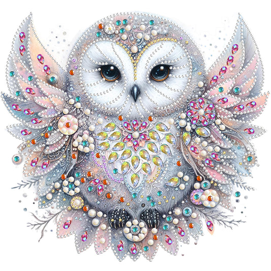 Bald Owl - Special Shaped Drill Diamond Painting 30*30CM